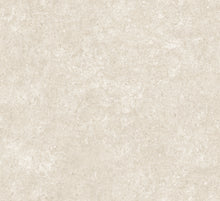 Afbeelding in Gallery-weergave laden, Arte Essentials Kaolin Calcaire Stucco
