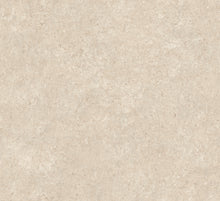 Afbeelding in Gallery-weergave laden, Arte Essentials Kaolin Calcaire Stucco
