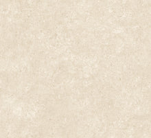 Afbeelding in Gallery-weergave laden, Arte Essentials Kaolin Calcaire Stucco
