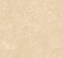 Afbeelding in Gallery-weergave laden, Arte Essentials Kaolin Calcaire Stucco
