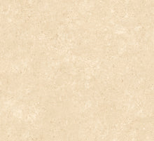 Afbeelding in Gallery-weergave laden, Arte Essentials Kaolin Calcaire Stucco
