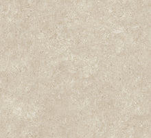 Afbeelding in Gallery-weergave laden, Arte Essentials Kaolin Calcaire Stucco

