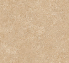 Afbeelding in Gallery-weergave laden, Arte Essentials Kaolin Calcaire Stucco
