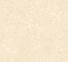 Afbeelding in Gallery-weergave laden, Arte Essentials Kaolin Calcaire Stucco

