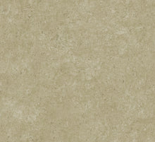 Afbeelding in Gallery-weergave laden, Arte Essentials Kaolin Calcaire Stucco
