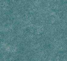Afbeelding in Gallery-weergave laden, Arte Essentials Kaolin Calcaire Stucco
