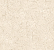 Afbeelding in Gallery-weergave laden, Arte Essentials Kaolin Fragment
