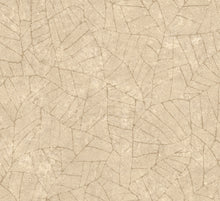 Afbeelding in Gallery-weergave laden, Arte Essentials Kaolin Fragment
