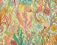 Afbeelding in Gallery-weergave laden, Harlequin Acropora
