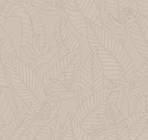 Arte Tali Strelitzia