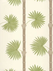 Paint & Paper Library Wallpaper Hardy Palm