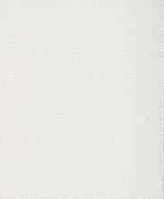 Afbeelding in Gallery-weergave laden, Paint &amp; Paper Library Wallpaper Seedpod
