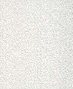 Paint & Paper Library Wallpaper Seedpod